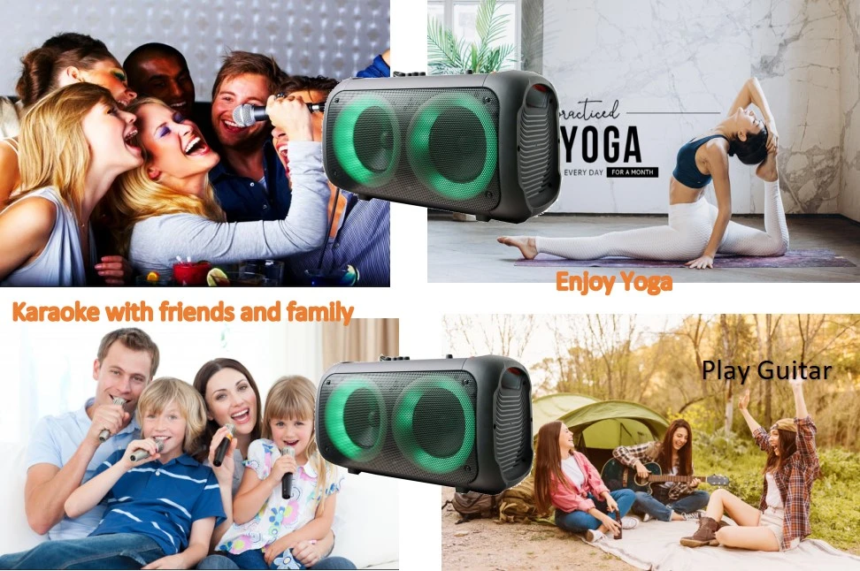 Double 6 Inch PA Speaker Wireless Speaker Portable Speaker with Flash LED