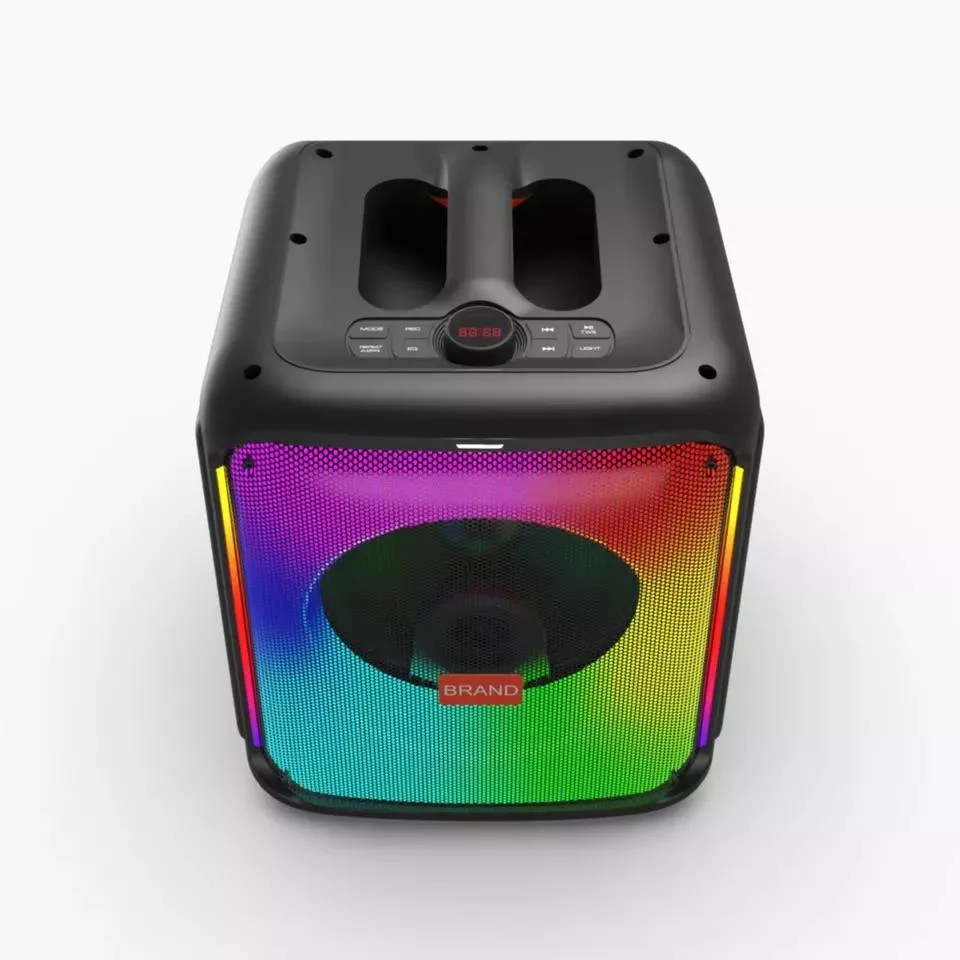 Temeisheng Party Speaker 8 Inch Woofer Portable Speaker with LED Lights